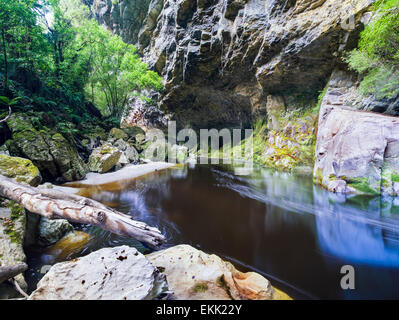 Rivière Oparara Arch dans le Ka. Image prise à l'extrême, et normalement inaccessibles, côté de l'arche dans le parc national de Kahurangi Banque D'Images