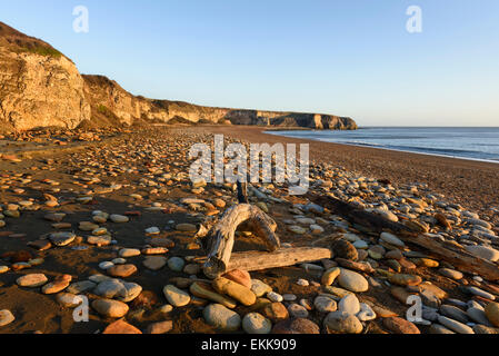 Point de nez et le souffle Beach County Durham Banque D'Images