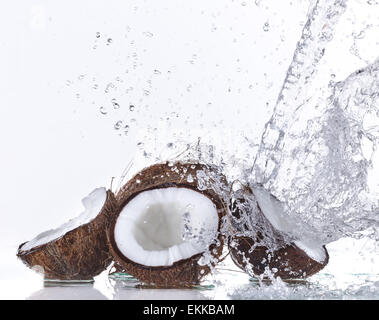 Coco avec de l'eau splash isolated on white Banque D'Images