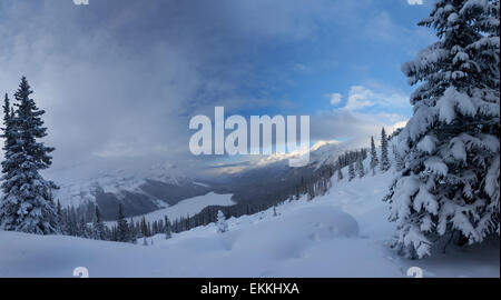 Le lac Peyto. Le coucher du soleil. Rocheuses canadiennes. Le parc national Banff. L'Alberta. Le Canada. Banque D'Images