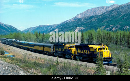 Bleu et deux locomotives jaune de l'état de l'Alaska Railroad tirez sur les bagages et les voitures avec l'observation des passagers par les touristes et la Réserve de parc national de Denali en Alaska, USA. Ce voyage ferroviaire dispose de magnifiques paysages de montagne et la vallée de 356 milles (573 kilomètres) entre Anchorage et Fairbanks. Le train passe au mont McKinley (Denali), également appelé le plus haut sommet de montagne en Amérique du Nord à 20 237 pieds (6 168 mètres). Banque D'Images