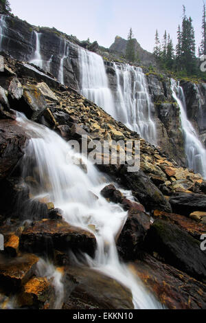 Sept Voiles Falls, lac O'Hara, le parc national Yoho, Colombie-Britannique, Canada Banque D'Images