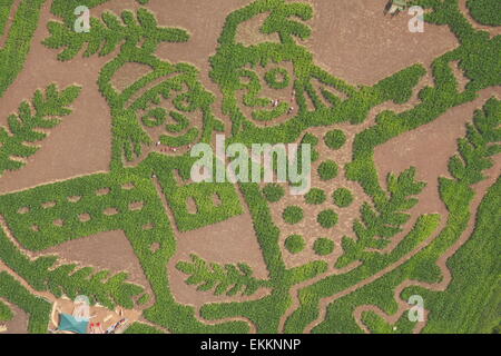 Labyrinthe de maïs pour célébrer le lancement de l'auteur, Julia Donaldson's Les épouvantails'' Mariage livre, Staffordshire, Royaume-Uni - vue aérienne Banque D'Images