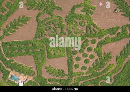 Labyrinthe de maïs pour célébrer le lancement de l'auteur, Julia Donaldson's 'Les épouvantails'' Mariage livre, Staffordshire, Royaume-Uni - vue aérienne Banque D'Images