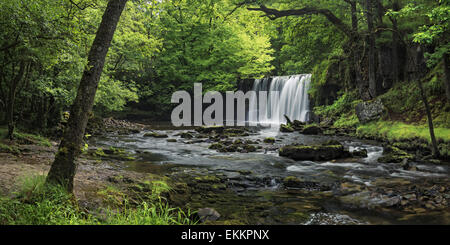 L'Afon Nedd Fechan rivière et Cascade Sgwd Ddwli au coeur du Parc National des Brecon Beacons, le Pays de Galles. Banque D'Images