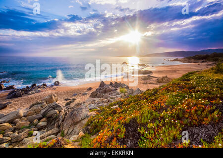 Beau paysage côtier calme colorés au printemps sur Corse, France, Europe. Banque D'Images