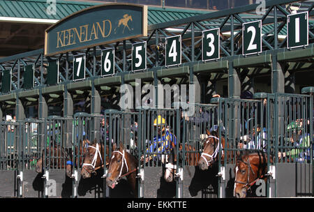 Lexington, Kentucky, USA. Apr 12, 2015. 11 avril 2015 : Tige Devinante et Julien Leparoux gagner la 34e marche de l'Coolmore Lexington 3 e année 250 000 $ à Keeneland Race Course pour propriétaire Lael écuries et formateur Arnaud Delacour. Candice Chavez/ESW/CSM/Alamy Live News Banque D'Images