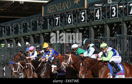 Lexington, Kentucky, USA. Apr 12, 2015. 11 avril 2015 : Tige Devinante et Julien Leparoux gagner la 34e marche de l'Coolmore Lexington 3 e année 250 000 $ à Keeneland Race Course pour propriétaire Lael écuries et formateur Arnaud Delacour. Candice Chavez/ESW/CSM/Alamy Live News Banque D'Images