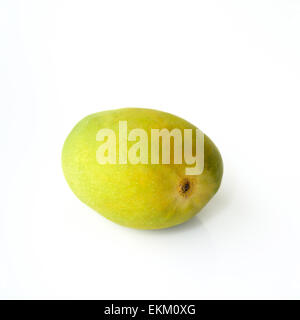 Alphonso Mango vert sur blanc Banque D'Images