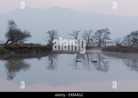 Aperçu de l'Skiddaw Massif reflète dans la rivière Derwent en bleu pâle aube lumière - Lake District, England, UK Banque D'Images