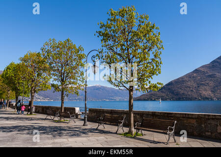 Cannobio, sur le Lac Majeur, Verbania, Piémont, Italie Banque D'Images