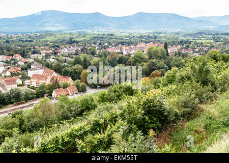Vue sur Mont sur les vignobles et la ville d'Obernai, Alsace, France vers les Vosges Banque D'Images