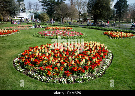 Jephson jardins au printemps, Leamington Spa, Warwickshire, UK Banque D'Images