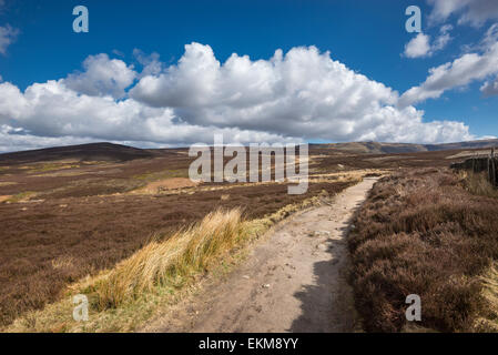 Le Snake Path sur les landes au-dessus de Hayfield dans le Peak District, Derbyshire. Jour de printemps ensoleillé sur les collines. Vue vers Kinder Scout. Banque D'Images