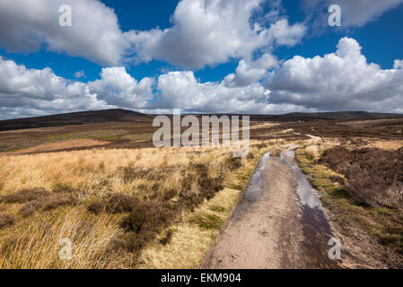 Le Chemin du serpent sur la lande au-dessus de fauche dans le Peak District, Derbyshire. Journée de printemps ensoleillée sur les collines. Banque D'Images