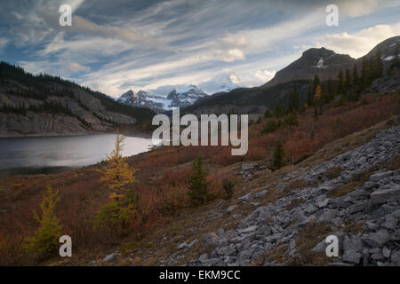 Og lake contre sommet de l'Assiniboine. De l'automne. Rocheuses canadiennes. Le parc provincial du mont Assiniboine. La Colombie-Britannique. Le Canada. Banque D'Images