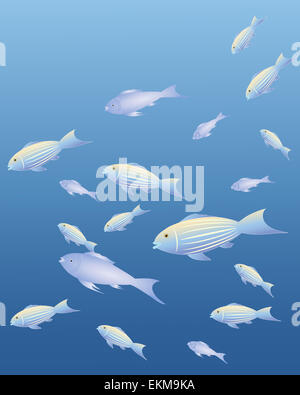 Une illustration de poissons exotiques avec fantaisie et une couleur sur un fond de la couleur de l'océan Banque D'Images