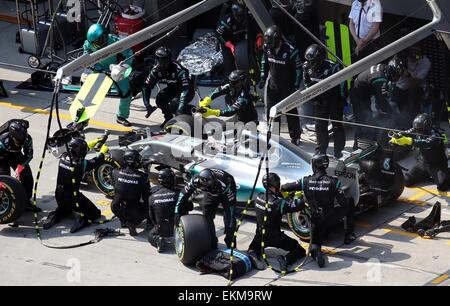 Shanghai, Chine. Apr 12, 2015. Lewis Hamilton pilote Mercedes AMG d'Angleterre prend sa voiture pour un pit-stop pendant le Grand Prix de Formule Un chinois au Circuit International de Shanghai à Shanghai, Chine, le 12 avril 2015. Hamilton a remporté la course en 1 heure 39 minutes 42,008 secondes. Credit : Fan Jun/Xinhua/Alamy Live News Banque D'Images