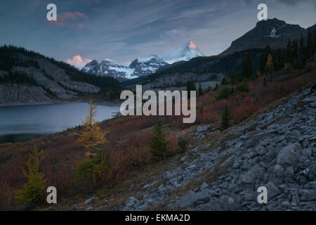 Og lake contre sommet de l'Assiniboine. De l'automne. Rocheuses canadiennes. Le parc provincial du mont Assiniboine. La Colombie-Britannique. Le Canada. Banque D'Images