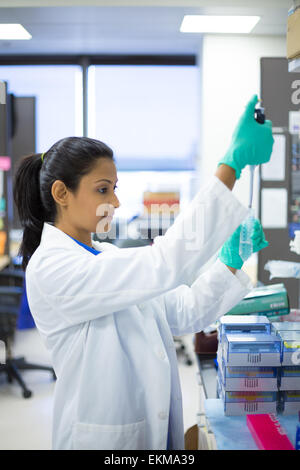 Closeup portrait, jeune scientifique en blanc labcoat et gants en latex nitrile bleu faisant des expériences en laboratoire, secteur universitaire. Banque D'Images