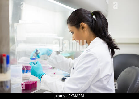 Closeup portrait, scientist holding 50 mL tube conique avec solution liquide bleu, d'effectuer des expériences en laboratoire Banque D'Images