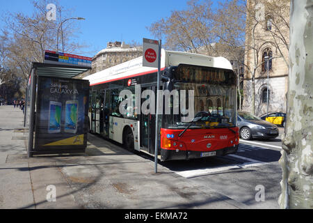 Rouge et blanc TMB à l'arrêt de bus dans la région de Plaza Universidad, Barcelone, Catalogne, Espagne Banque D'Images