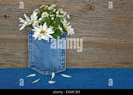Daisy Bouquet en bleu jean avec poche arrière-plan en bois rustique. Banque D'Images