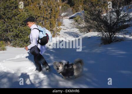 Le choix de neige sur la glace sur une pente raide randonnée pédestre par ma soeur et son chien ; Montagnes Sandia du Nouveau Mexique - USA Banque D'Images