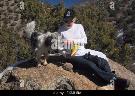 Senior Citizen nourrir son chien une collation lors d'une randonnée dans les montagnes de Sandia du Nouveau Mexique - USA Banque D'Images