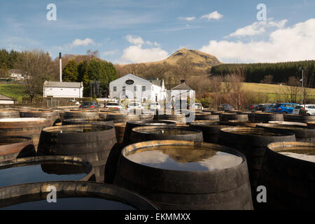 Le pic de Dumgoyne reflète dans l'eau de pluie dans des barils de whisky Glengoyne Distillery extérieur permanent, Nr Killearn, Ecosse, Royaume-Uni Banque D'Images