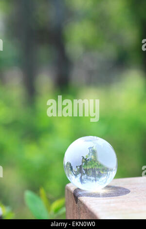 Globe de verre dans une forêt Banque D'Images