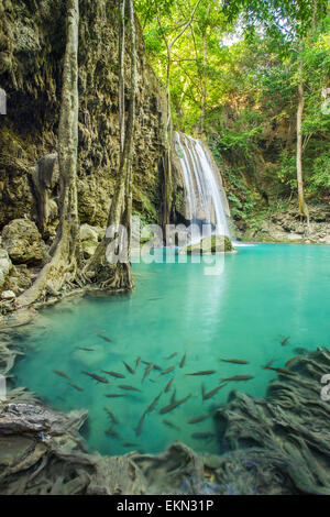 Belle Cascade Erawan Erawan National Park, à Kanchanaburi, Thaïlande Banque D'Images