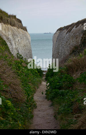 Pente écart chemin dans la craie falaises blanches white ness head Banque D'Images