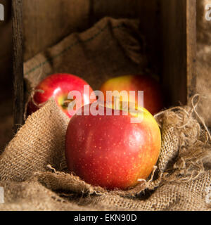 Pommes rouges dans cadre rustique, avec l'ancienne boîte en bois et sac en toile de jute Banque D'Images