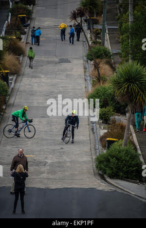 Baldwin Street, Dunedin, Nouvelle-Zélande, la rue la plus raide au monde. Banque D'Images