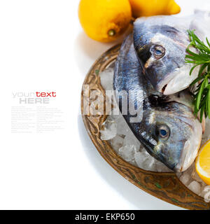 Des fruits de mer sur glace Banque D'Images