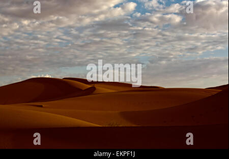 Lever du soleil sur les dunes de l'Erg Chebbi, Merzouga, Maroc Banque D'Images