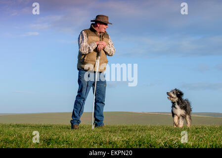 Darren Greenfield - Berger sur les South Downs avec sa belle Colley barbu et le chien de berger les agneaux nouveau-nés. Banque D'Images