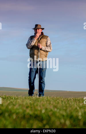 Darren Greenfield - berger sur les South Downs travaillant belle son chien de berger et agneaux nouveau-nés. Banque D'Images