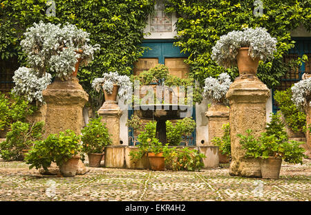 Cour-jardin d'une maison typique de Cordoue, Espagne Banque D'Images