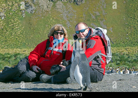 Deux touristes et King Penguin Gold Harbour Géorgie du Sud Banque D'Images