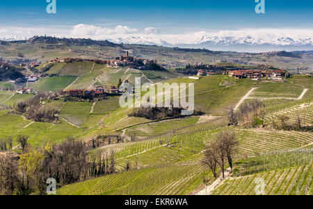 La région viticole du Barolo, dans le nord de l'Italie, près de Serralunga d'Alba.La vue est au nord vers les Alpes italiennes Banque D'Images