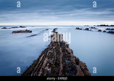Quelques grands rochers couverts d'algues marines, sur la côte Est de l'Écossais. Banque D'Images