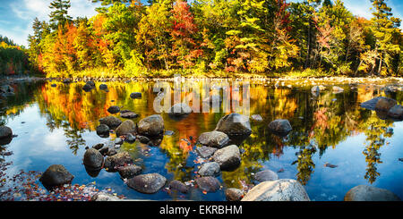 Vue panoramique sur les arbres colorés le long d'une courbe de la rivière Swift River, White Mountains National Forest, New Hampshire Banque D'Images