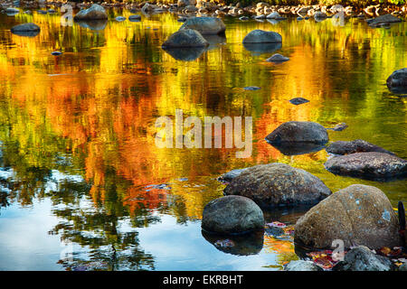 Vue rapprochée de l'automne feuillage reflète dans une rivière,Swift River, Albany, New Hampshire Banque D'Images