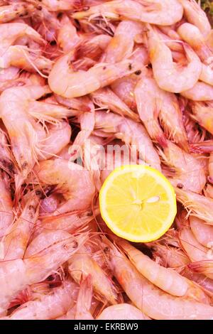 En crevettes coquilles poissonniers de avec le citron, le roi, la crevette, cocktail, libre, isolée, dish, italien, repas, citron, tigre, plaque, Banque D'Images