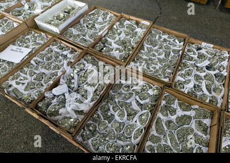 La pyrite pour vente, Tucson Gem and Mineral Show, Tucson, Arizona Banque D'Images