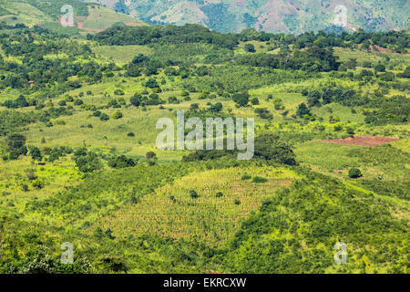 La déforestation sur terre pour cultiver le maïs dans la partie inférieure de la vallée du Shire au Malawi, un pays qui a été fortement déboisées pour les terres agricoles, et à faire du charbon pour la cuisson. Banque D'Images