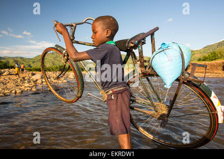 A la mi-janvier 2015, une période de trois jours de pluies excessives portées les inondations sans précédent au petit pays pauvre d'Afrique du Malawi. Il déplacé près de 250 000 personnes, a dévasté 64 000 hectares de terres, et tué plusieurs centaines de personnes. Cette photo montre un garçon portant sa bicyclette pour traverser une rivière dans la vallée du Shire près de Chikwawa, après les routes et ponts ont été emportés. Banque D'Images