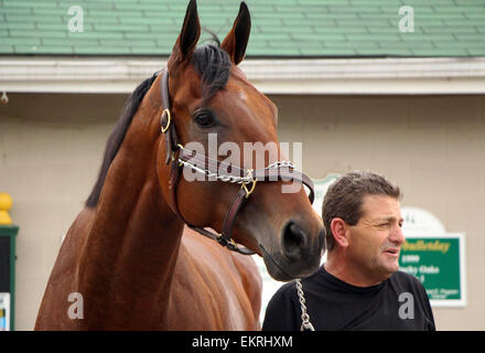 Louisville, Kentucky, USA. 13 avr, 2015. 13 avril 2015, Pharoah américain arrive à Churchill Downs de l'Arkansas avec les autres Bob Baffert les chevaux. Il est le gagnant de l'année 2015, l'Arkansas Derby et un possible favori pour le Derby du Kentucky. Zayat propriétaire d'équitation Crédit : Mary M. Meek/ESW/CSM/Alamy Live News Banque D'Images